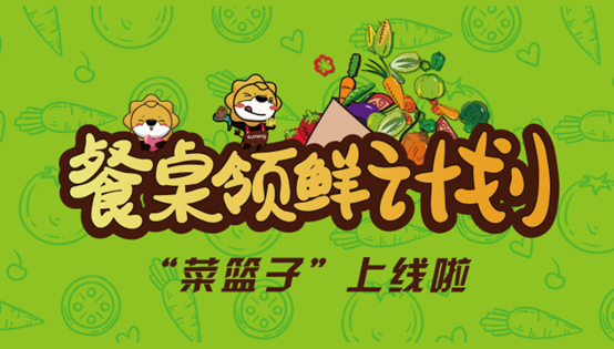 「提速革命」的背后，品牌靠什么變革？