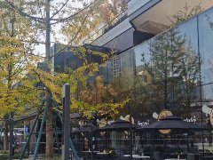 私董會簡史：同道精神的“西學東漸”