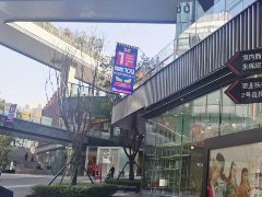 烈火烹油的鄉村民宿，何時回歸行業本質？