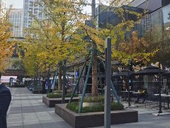 百年舊存量也能“起死回生”，從舊廠房變身“城市地標”？
