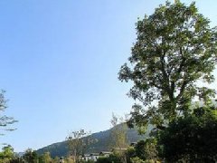 商業(yè)保持“活力”的秘密，引導消費的景觀設計&#8203;如何打造？&#8203;