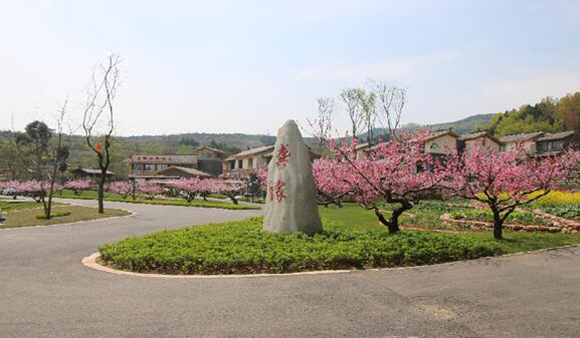 成都金堂破局特色小鎮建設打造鄉村振興新示范
