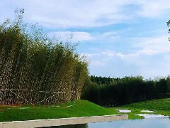 文旅產業下一步要如何發展？