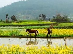 旅游行業(yè)2021年艱難的開局