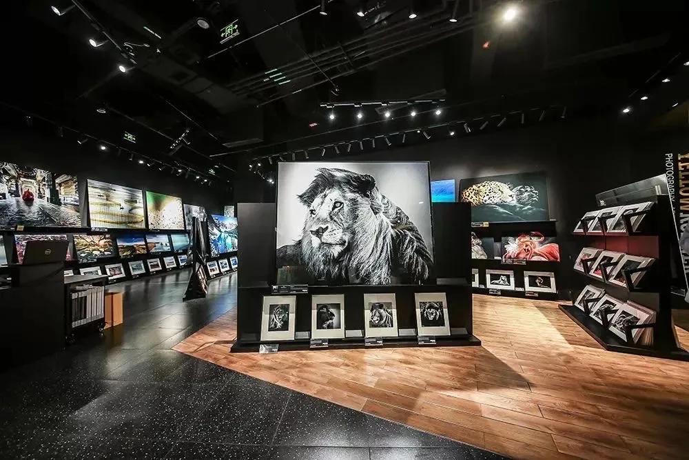“商業+藝術”，新消費·LIFE生活展的集合買手店與藝術模式