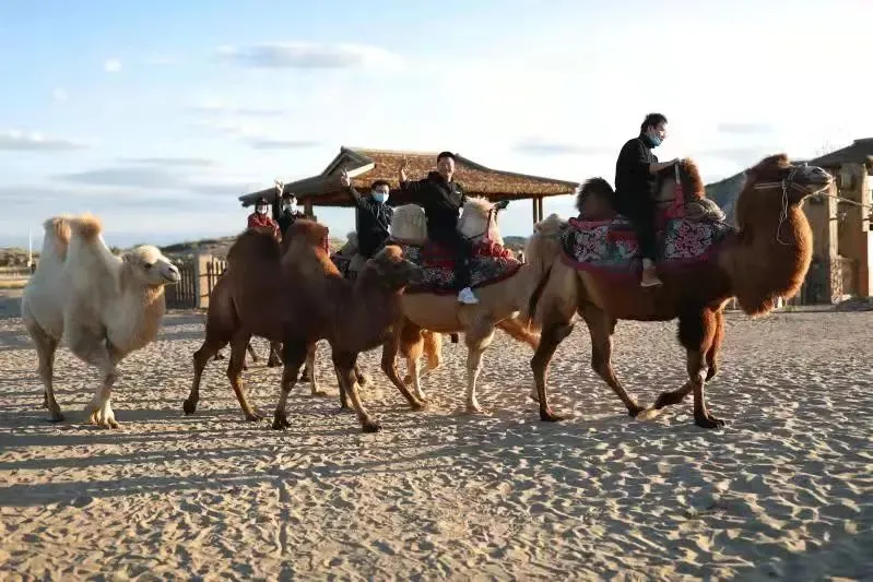 旅游IP時(shí)代開啟，“Z世代”新旅游消費(fèi)群體已崛起