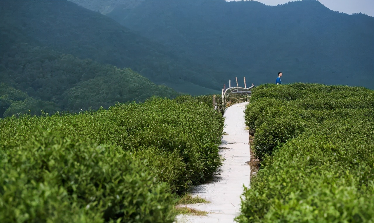 知名文化旅游小鎮開發模式分析