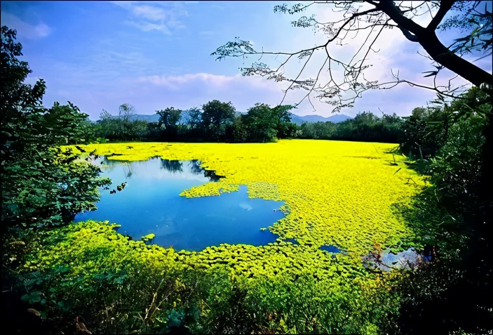 文旅項(xiàng)目策劃10大要點(diǎn)