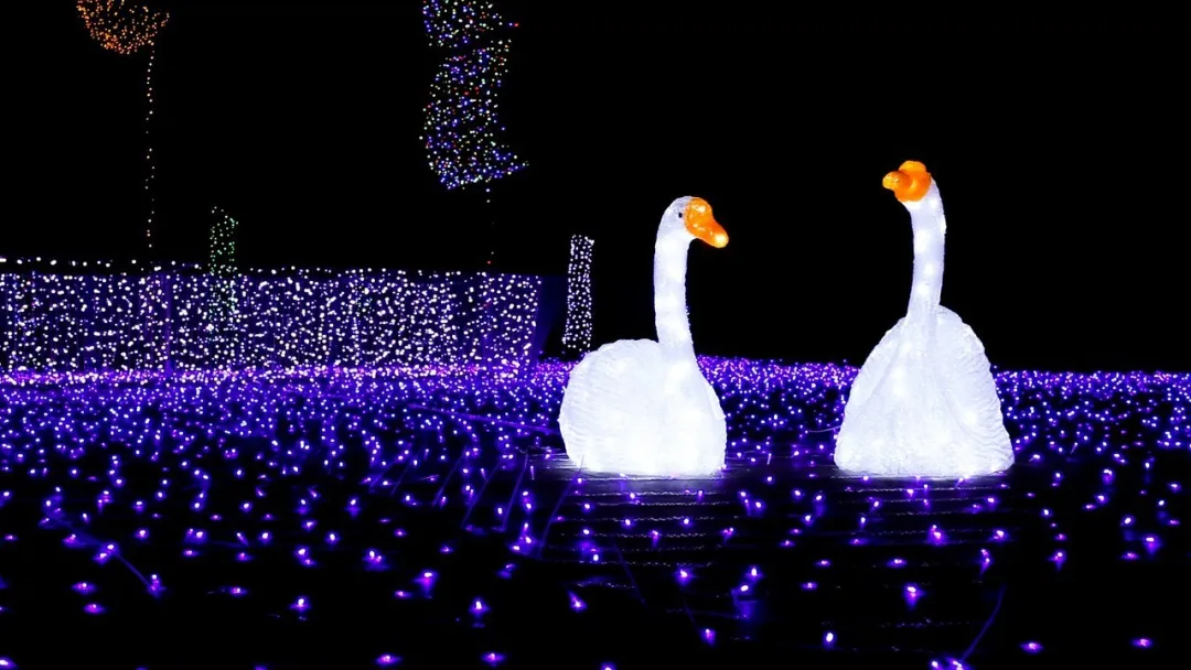 夜間文旅項目如何打造？