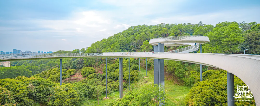 一個敢想一個敢建，盤點國內六大創意玻璃橋