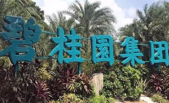 碧桂園：明年開始，全面實現機器人建房