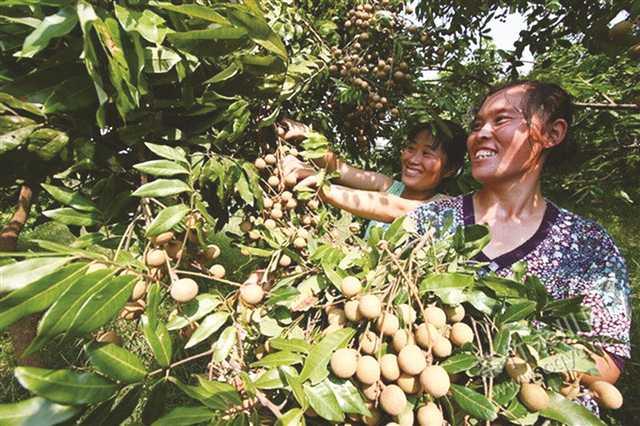 永川朱沱鎮，繪就特色小鎮多彩畫卷